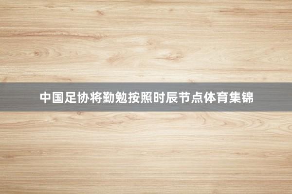 中国足协将勤勉按照时辰节点体育集锦