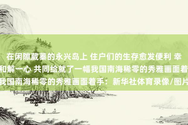 在闲隙葳蓁的永兴岛上 住户们的生存愈发便利 幸福指数越来越高 军警民和解一心 共同绘就了一幅我国南海稀零的秀雅画面着手：新华社体育录像/图片