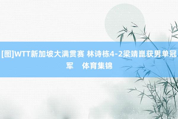 [图]WTT新加坡大满贯赛 林诗栋4-2梁靖崑获男单冠军    体育集锦
