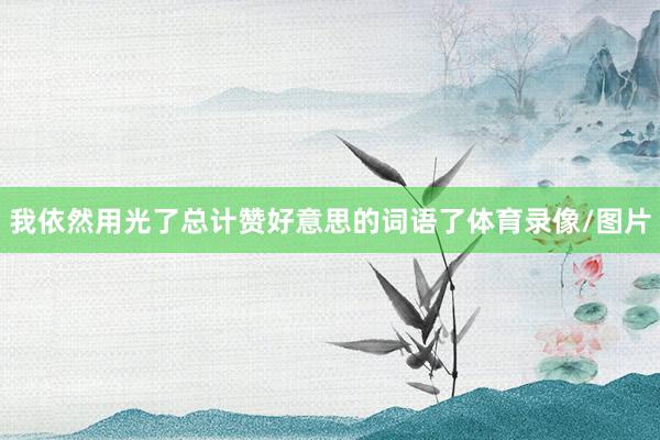 我依然用光了总计赞好意思的词语了体育录像/图片