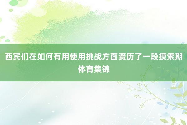 西宾们在如何有用使用挑战方面资历了一段摸索期体育集锦