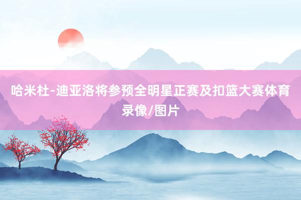 哈米杜-迪亚洛将参预全明星正赛及扣篮大赛体育录像/图片