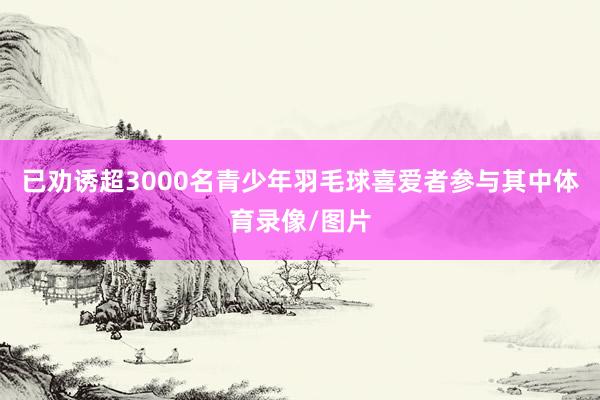 已劝诱超3000名青少年羽毛球喜爱者参与其中体育录像/图片