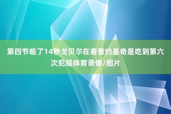 第四节临了14秒戈贝尔在看管约基奇是吃到第六次犯规体育录像/图片