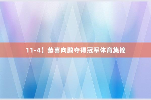 11-4】恭喜向鹏夺得冠军体育集锦