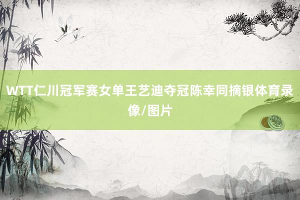 WTT仁川冠军赛女单王艺迪夺冠陈幸同摘银体育录像/图片