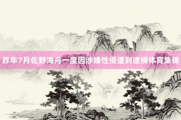 昨年7月佐野海舟一度因涉嫌性侵遭到逮捕体育集锦