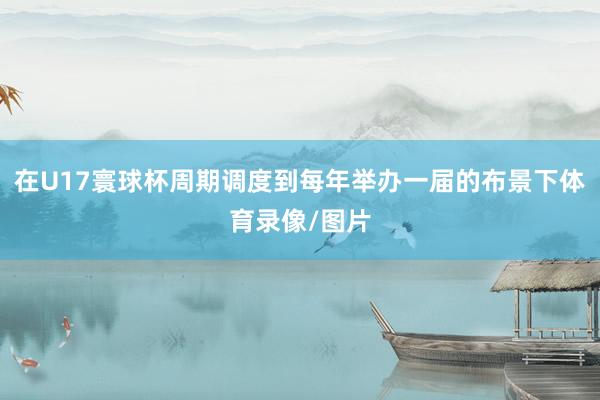 在U17寰球杯周期调度到每年举办一届的布景下体育录像/图片