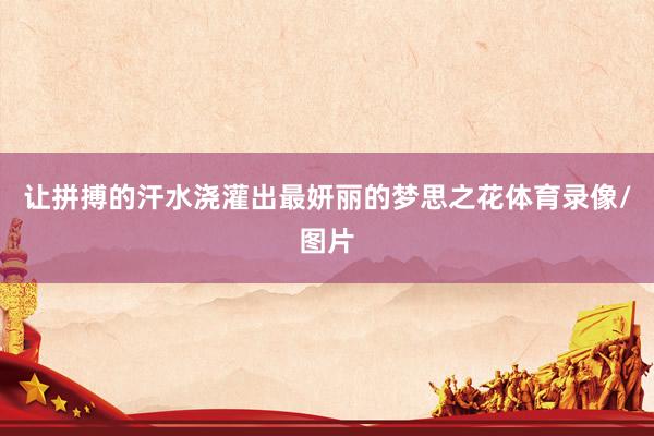 让拼搏的汗水浇灌出最妍丽的梦思之花体育录像/图片