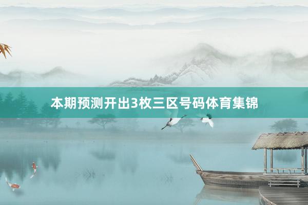 本期预测开出3枚三区号码体育集锦