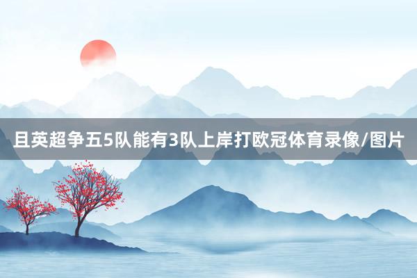 且英超争五5队能有3队上岸打欧冠体育录像/图片