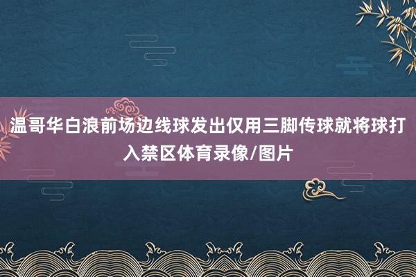 温哥华白浪前场边线球发出仅用三脚传球就将球打入禁区体育录像/图片