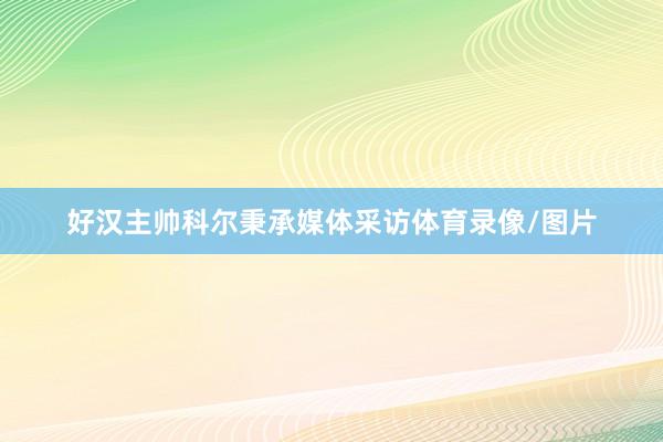 好汉主帅科尔秉承媒体采访体育录像/图片