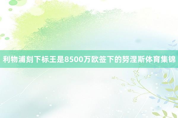 利物浦刻下标王是8500万欧签下的努涅斯体育集锦