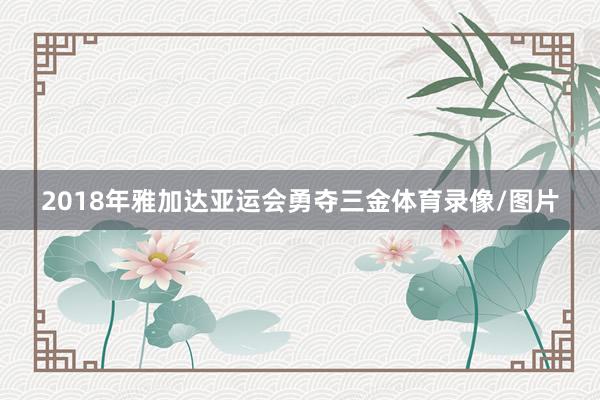 2018年雅加达亚运会勇夺三金体育录像/图片