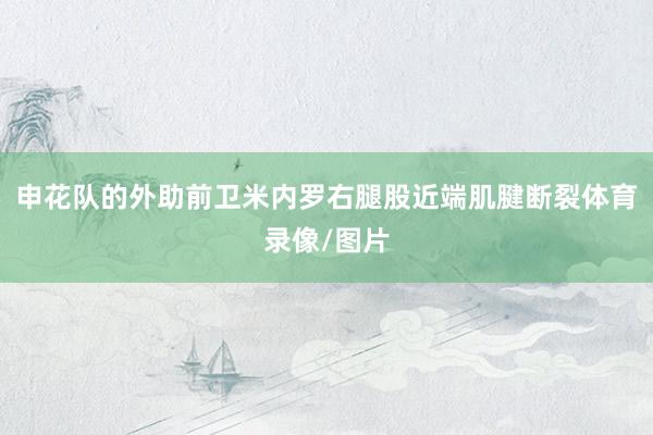 申花队的外助前卫米内罗右腿股近端肌腱断裂体育录像/图片