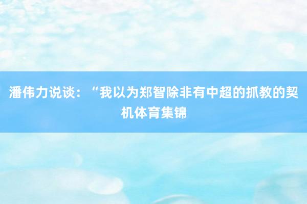 潘伟力说谈：“我以为郑智除非有中超的抓教的契机体育集锦