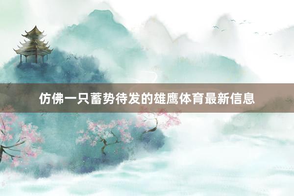 仿佛一只蓄势待发的雄鹰体育最新信息