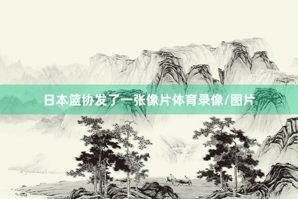 日本篮协发了一张像片体育录像/图片