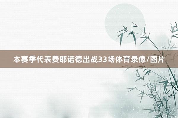 本赛季代表费耶诺德出战33场体育录像/图片