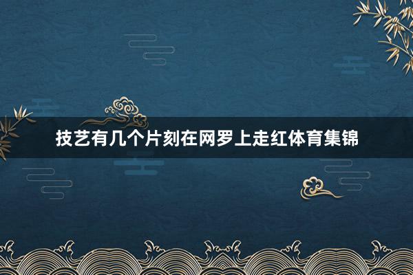 技艺有几个片刻在网罗上走红体育集锦