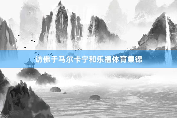 访佛于马尔卡宁和乐福体育集锦