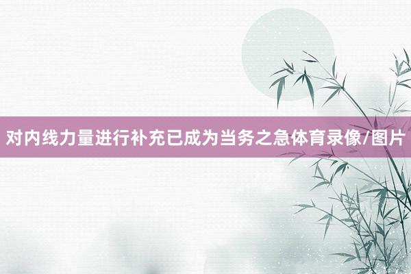 对内线力量进行补充已成为当务之急体育录像/图片