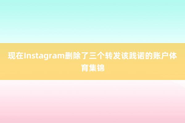 现在Instagram删除了三个转发该践诺的账户体育集锦
