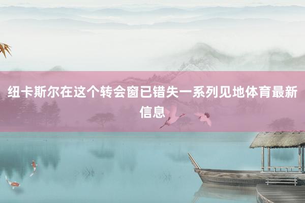 纽卡斯尔在这个转会窗已错失一系列见地体育最新信息