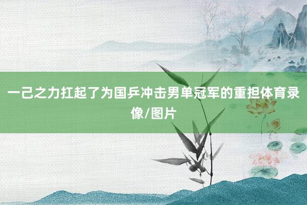 一己之力扛起了为国乒冲击男单冠军的重担体育录像/图片