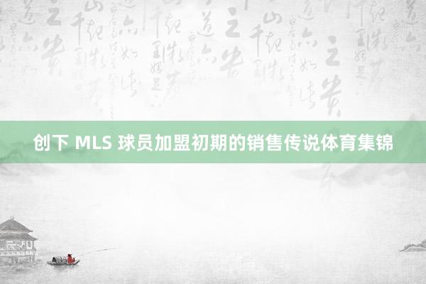 创下 MLS 球员加盟初期的销售传说体育集锦