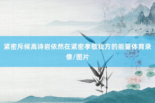 紧密斥候高诗岩依然在紧密孝敬我方的能量体育录像/图片
