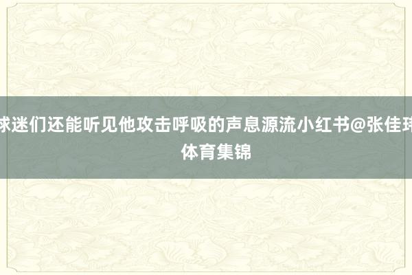 球迷们还能听见他攻击呼吸的声息源流小红书@张佳玮    体育集锦