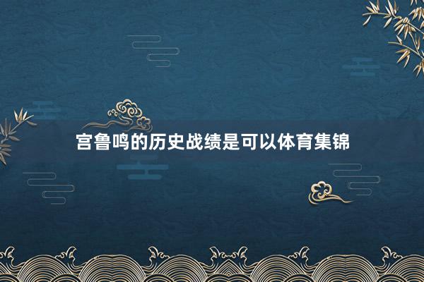 宫鲁鸣的历史战绩是可以体育集锦