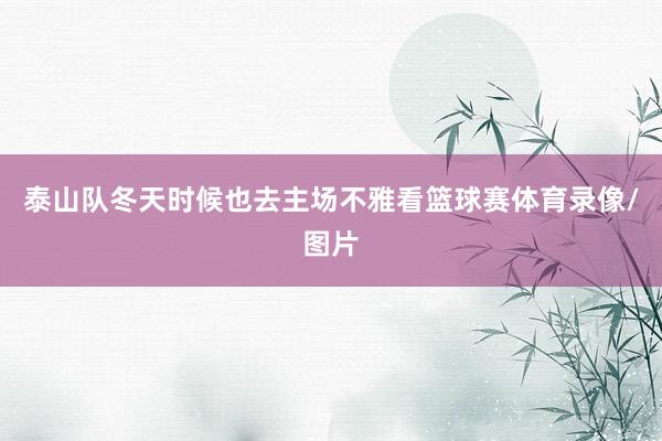 泰山队冬天时候也去主场不雅看篮球赛体育录像/图片