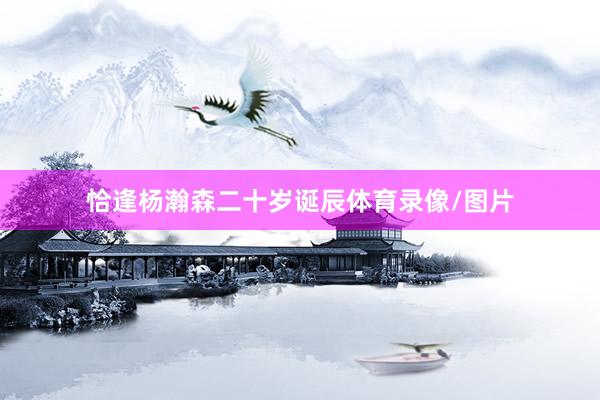 恰逢杨瀚森二十岁诞辰体育录像/图片