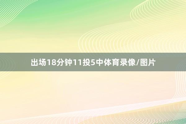 出场18分钟11投5中体育录像/图片