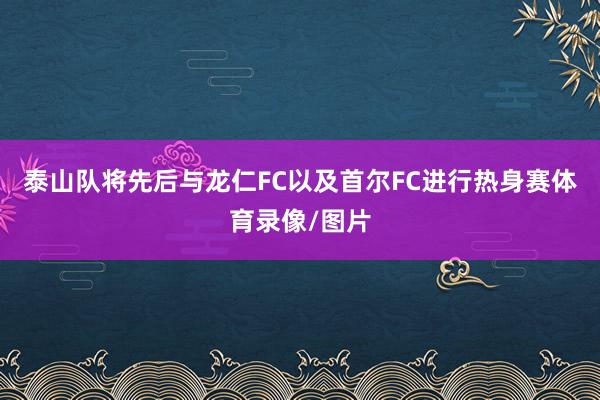 泰山队将先后与龙仁FC以及首尔FC进行热身赛体育录像/图片