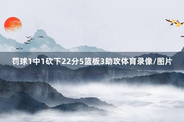 罚球1中1砍下22分5篮板3助攻体育录像/图片