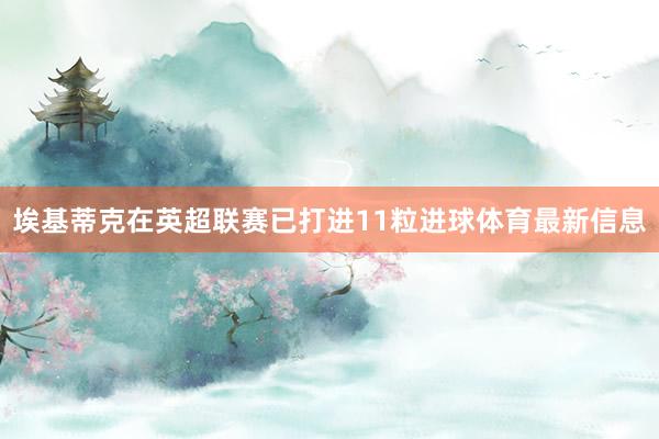埃基蒂克在英超联赛已打进11粒进球体育最新信息