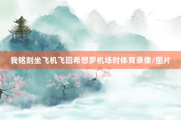 我铭刻坐飞机飞回希想罗机场时体育录像/图片