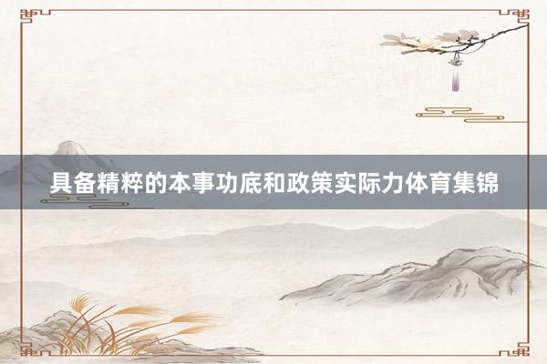 具备精粹的本事功底和政策实际力体育集锦
