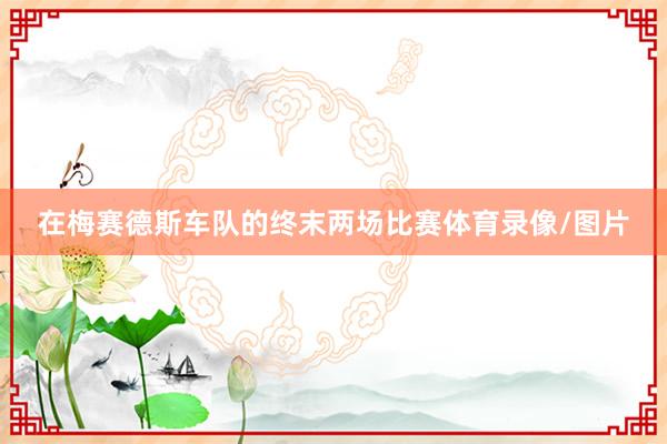 在梅赛德斯车队的终末两场比赛体育录像/图片