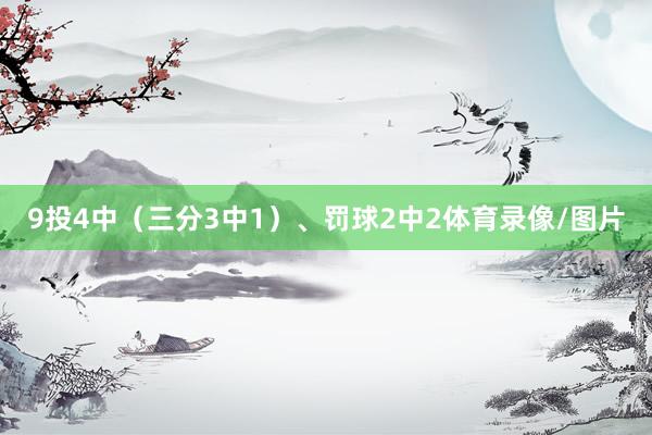 9投4中（三分3中1）、罚球2中2体育录像/图片