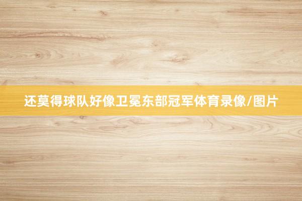 还莫得球队好像卫冕东部冠军体育录像/图片